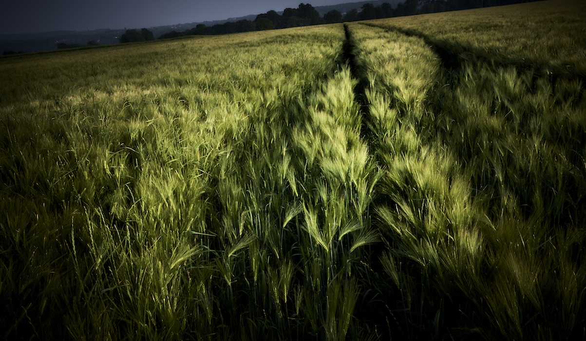 Our Brands' Role In Framing Success