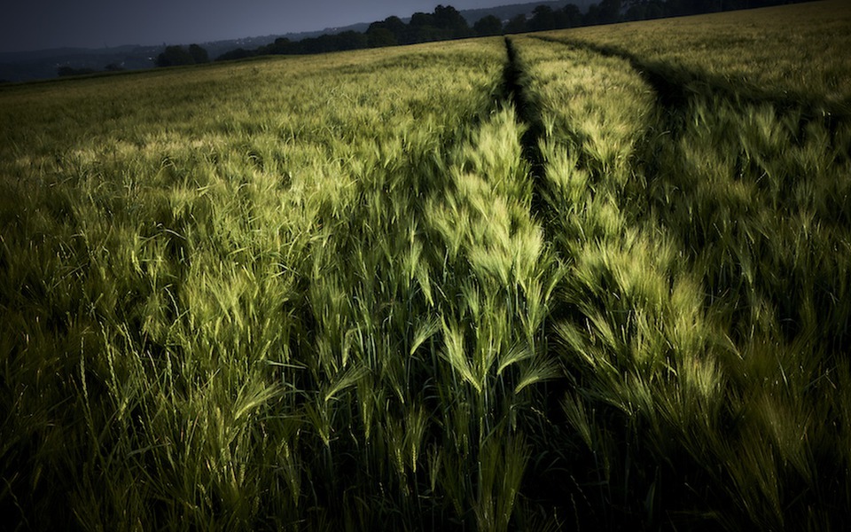 Yasuhiro Ogawa pour le CRT