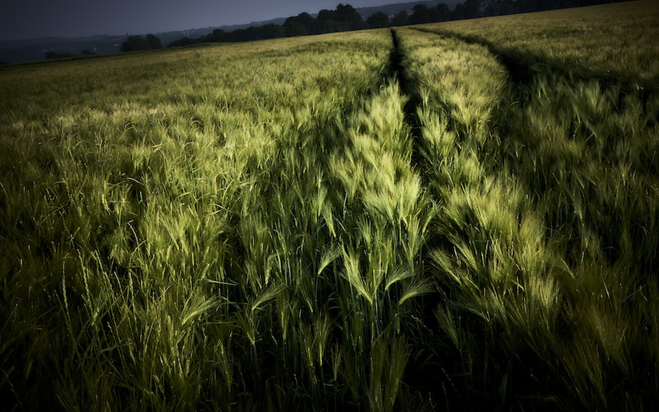 Yasuhiro Ogawa pour le CRT