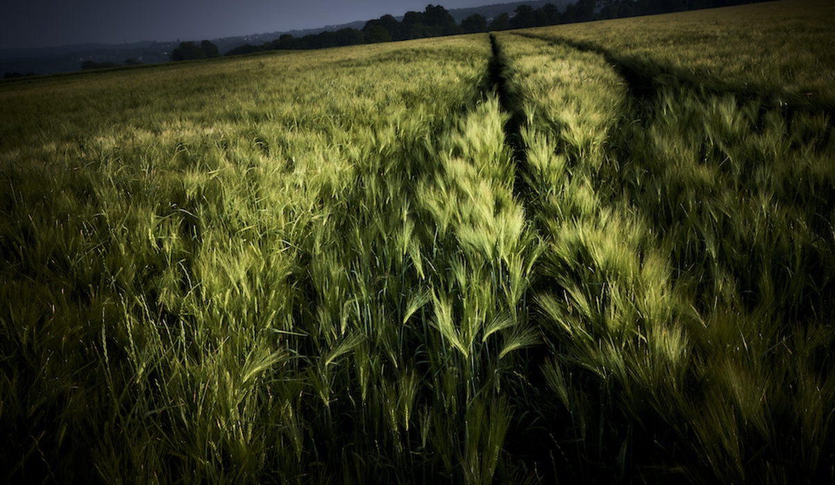 Nos marques cadrent le succès